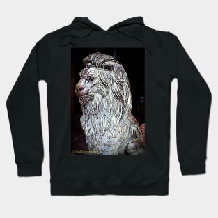 Bronze lion Hoodie